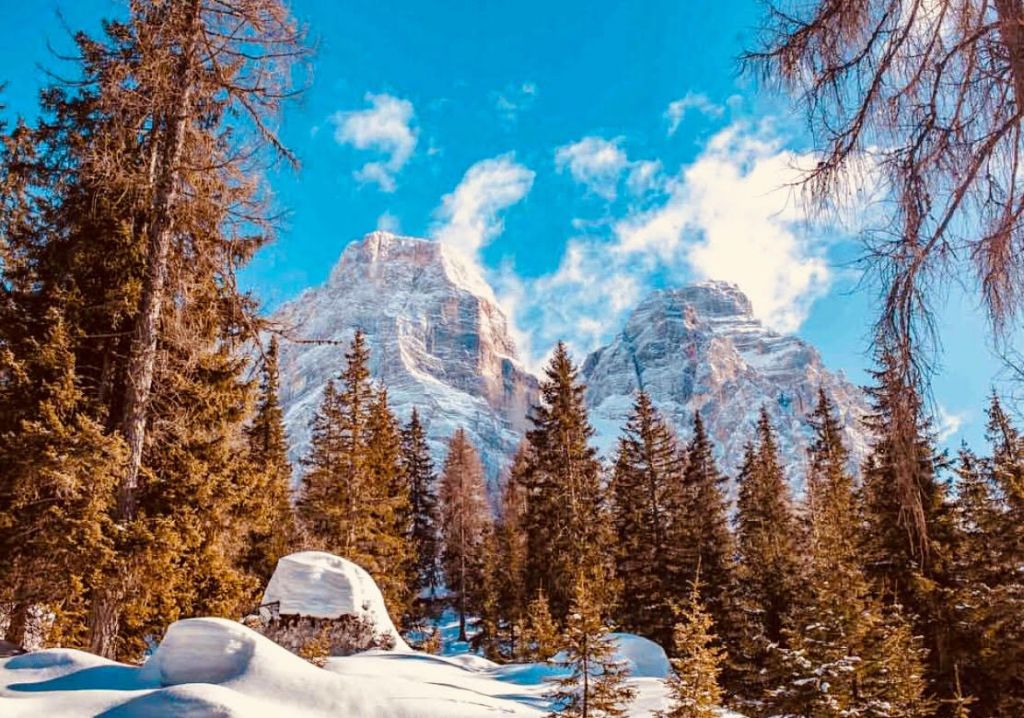 Cortina