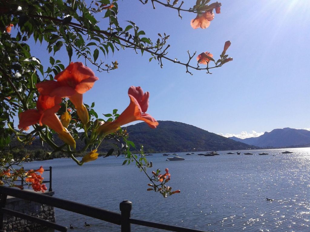 Panorama del Lago Maggiore