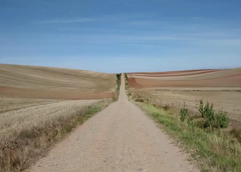 Viaggiare a piedi