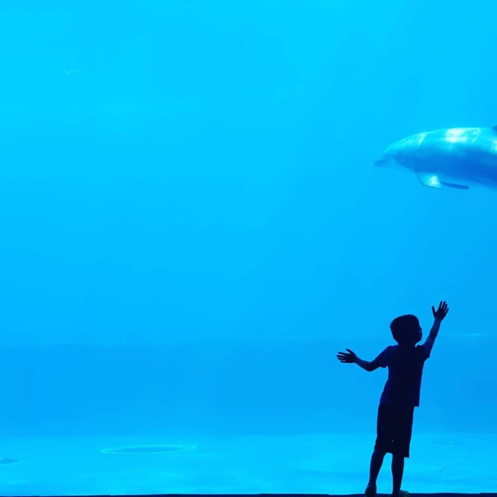 acquario di Genova bambino