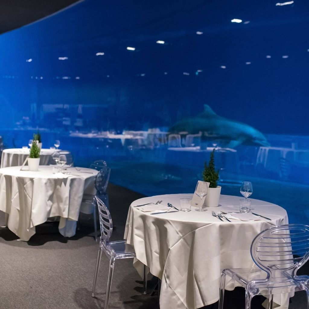 cena acquario di genova