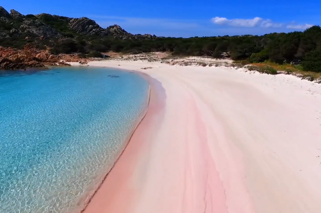 Spiaggia rosa de la Maddalena