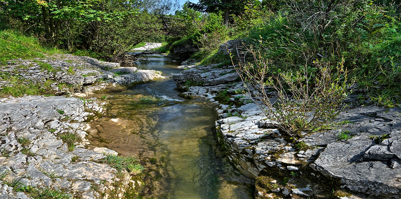 Bosco Sette sorgenti
