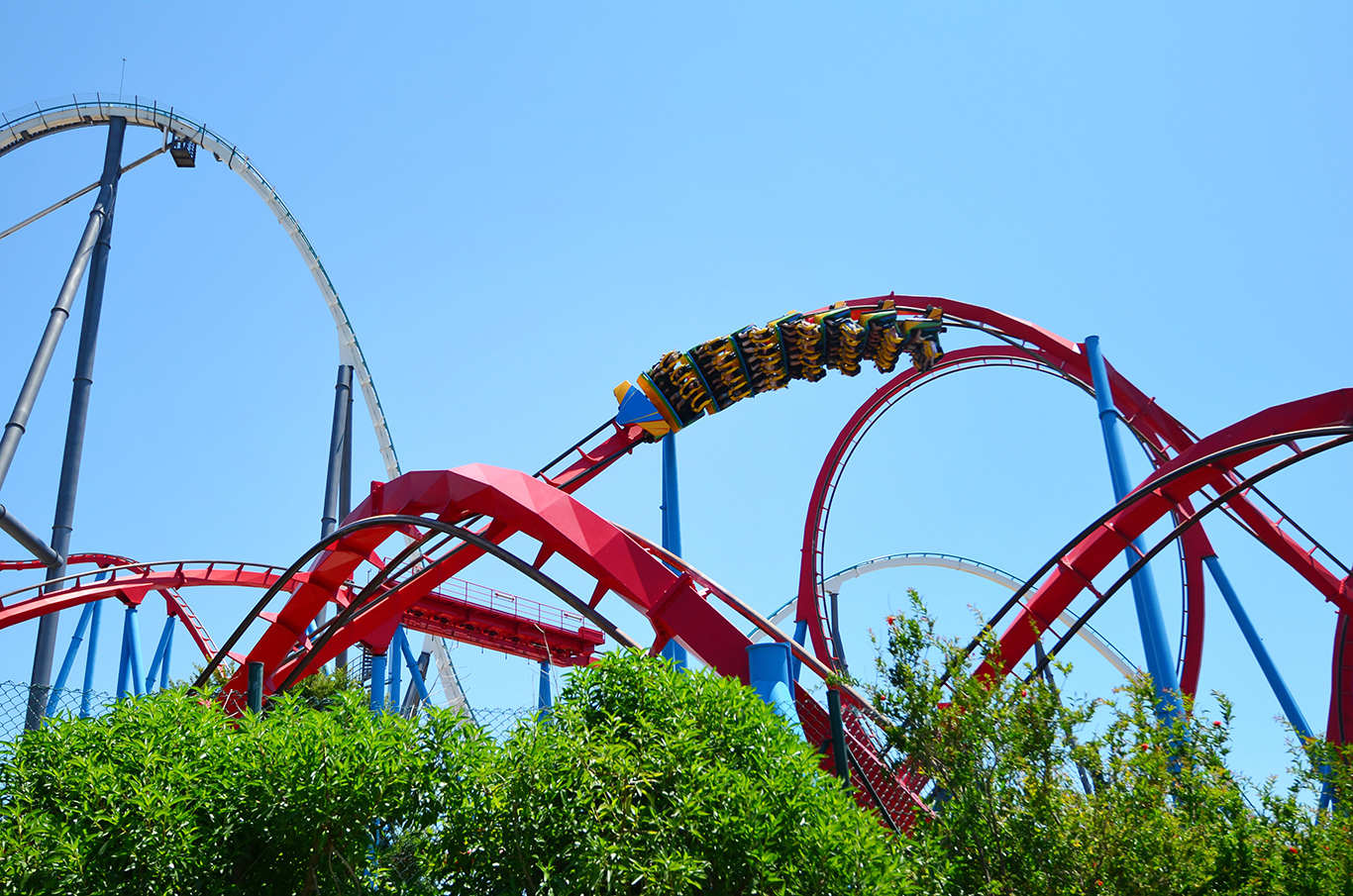 Busch Gardens, Tampa, Florida
