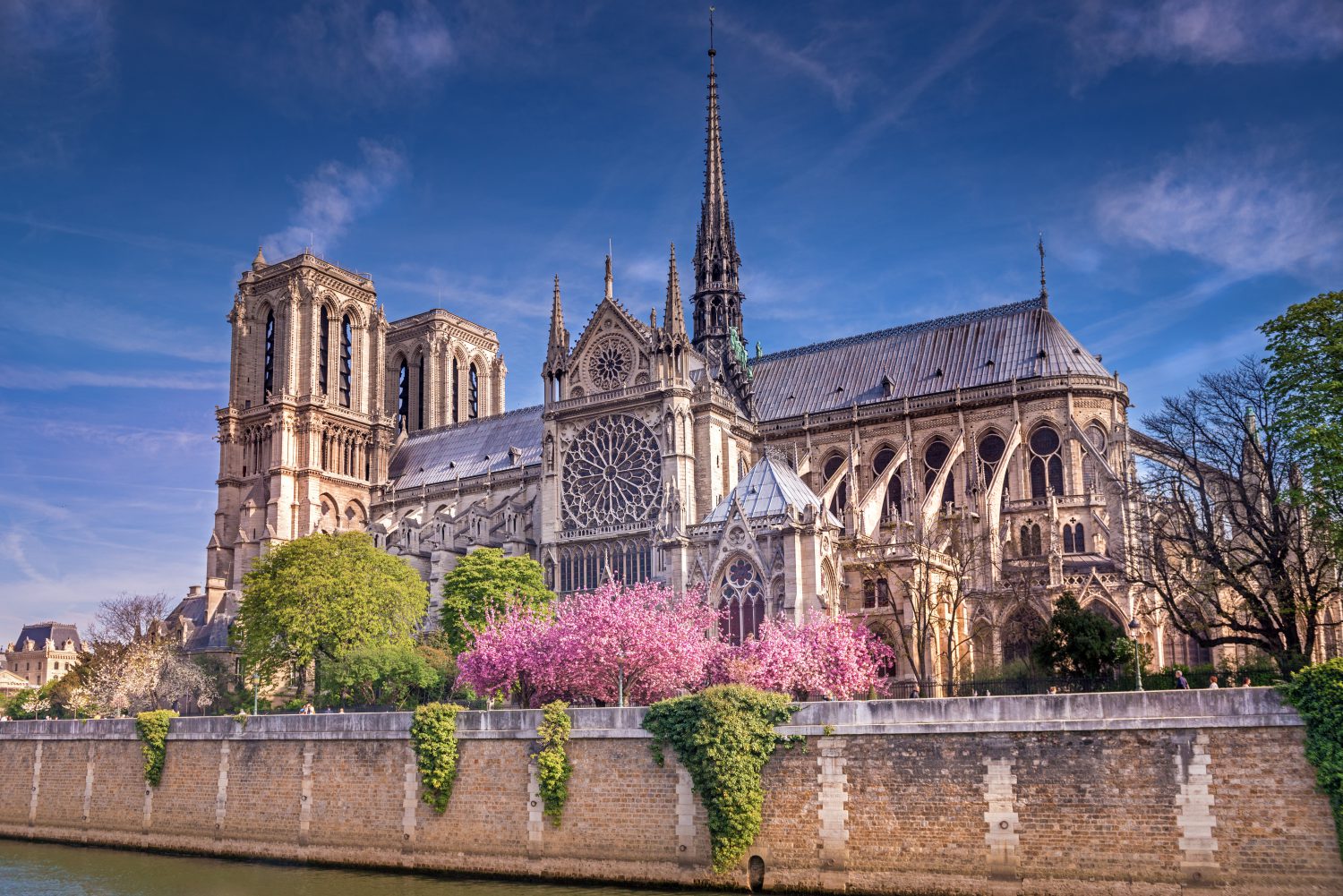 Cattedrale di Notre Dame