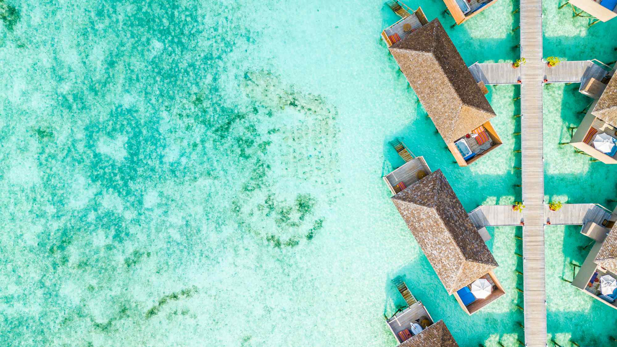 Cosa non fare alle Maldive